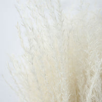 Gallery Interiors Clark Dried Reed Grass Bundle Paper Wrap White