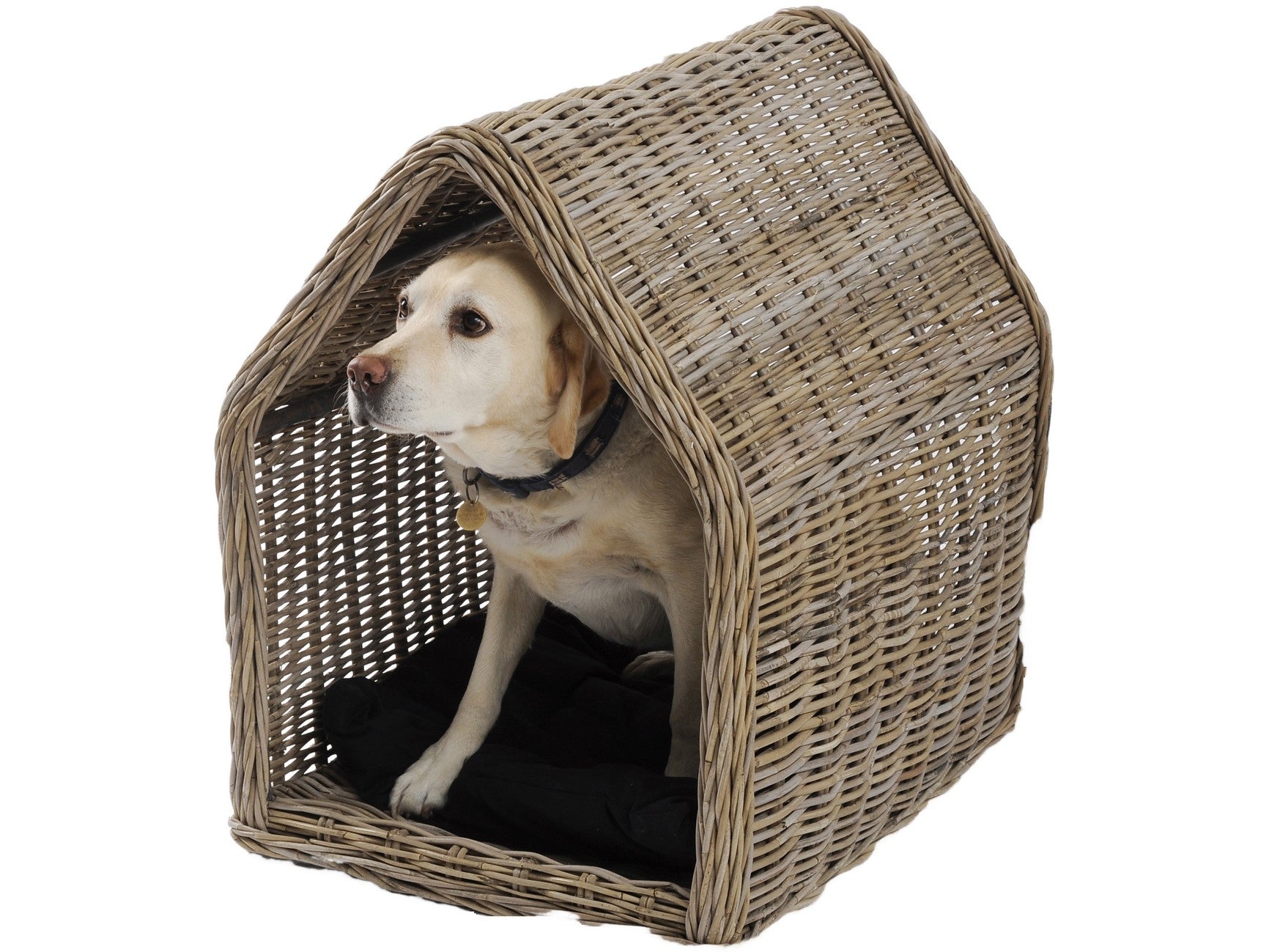 Libra Toba Rattan Dog Kennel-Libra-Olivia's