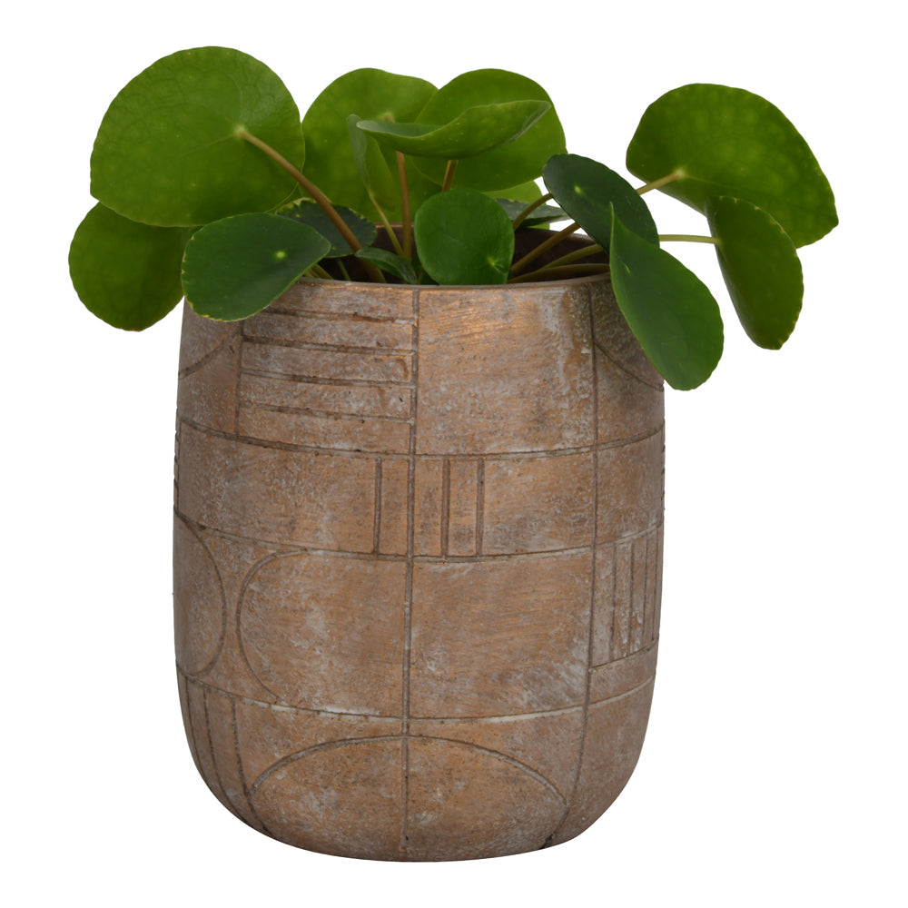 Libra Urban Botanic Collection - Geometric Circles Pattern Gold Concrete Planter Small