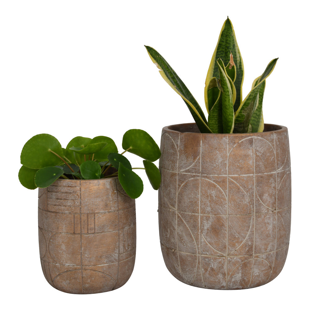 Libra Urban Botanic Collection - Geometric Circles Pattern Gold Concrete Planter Small