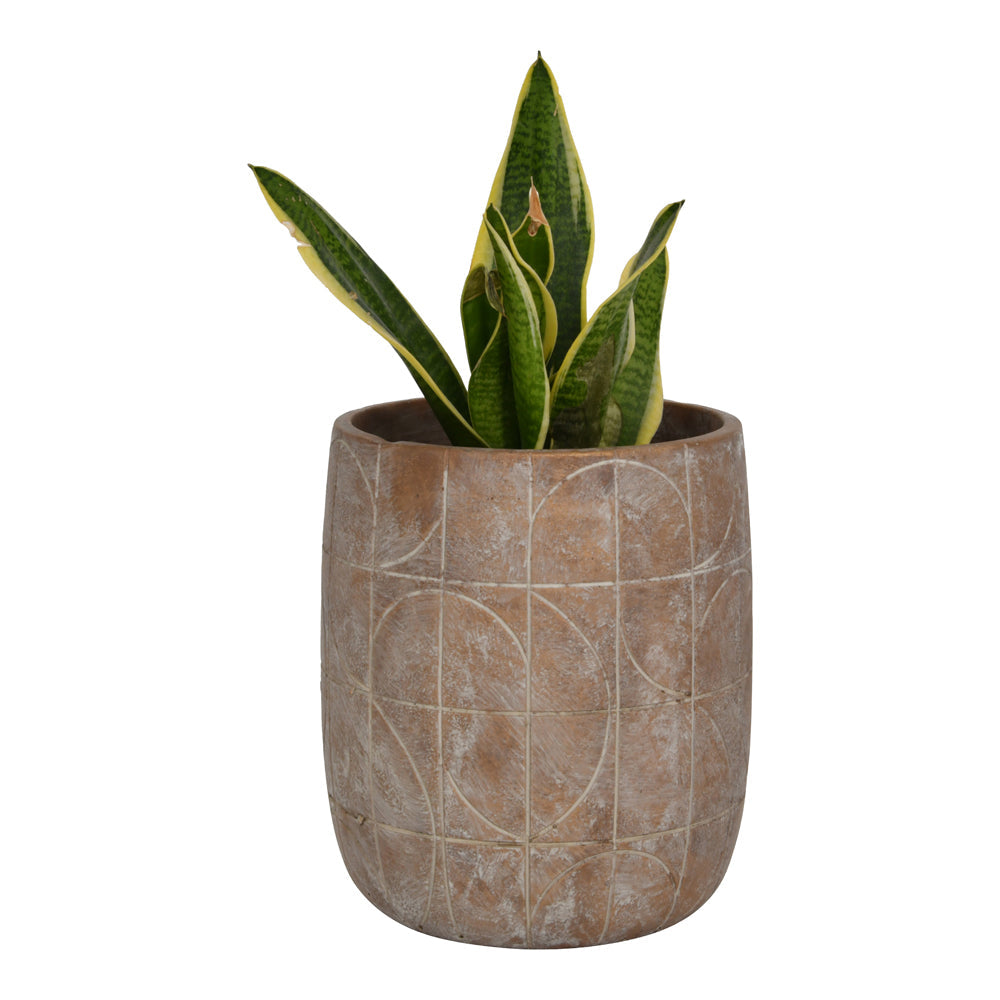 Libra Urban Botanic Collection - Geometric Circles Pattern Gold Concrete Planter Large