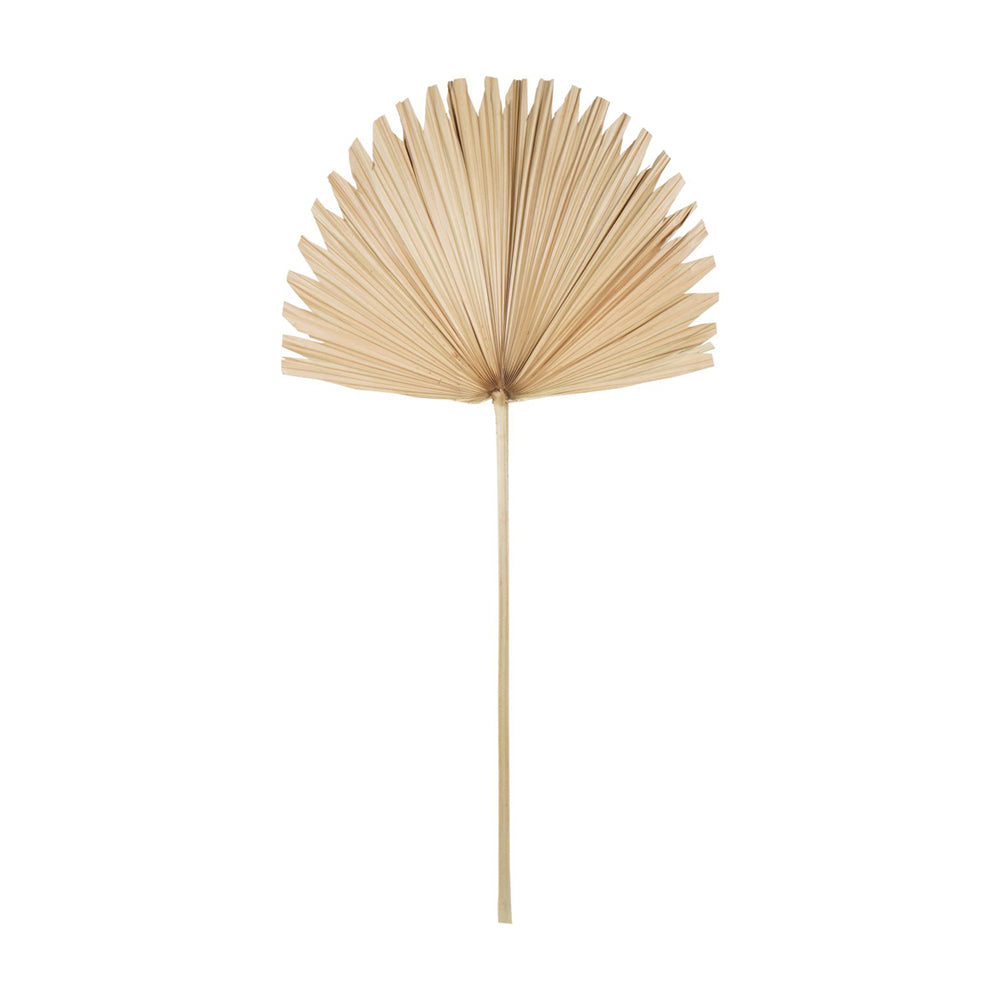 Libra Calm Neutral Collection - Wide Fan Palm Leaf Natural