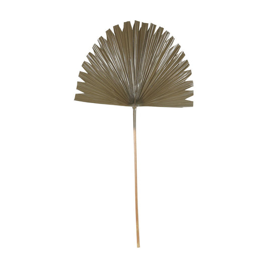 Libra Calm Neutral Collection - Wide Fan Palm Leaf Brown