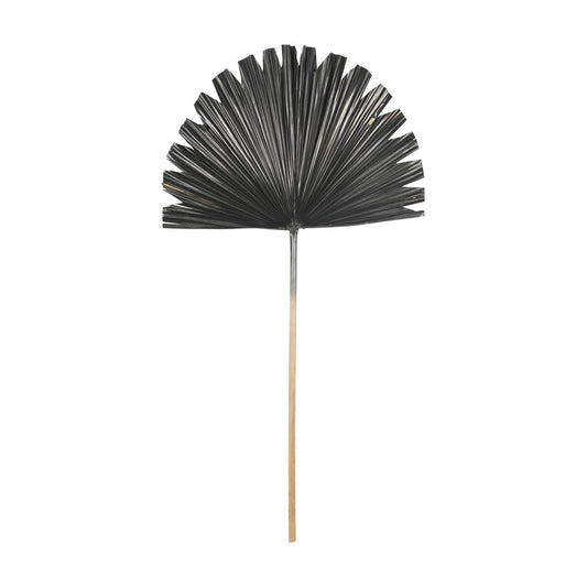 Libra Midnight Mayfair Collection - Wide Fan Palm Leaf in Black