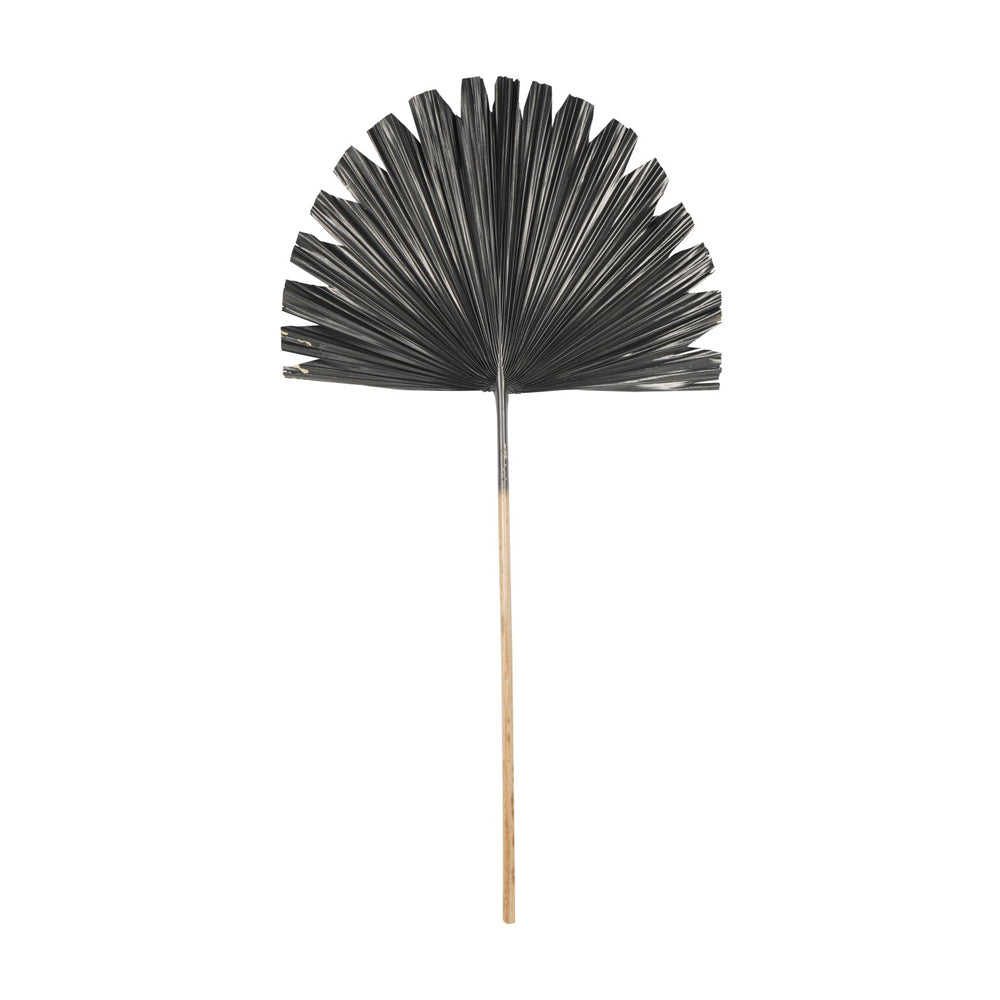 Libra Midnight Mayfair Collection - Wide Fan Palm Leaf in Black