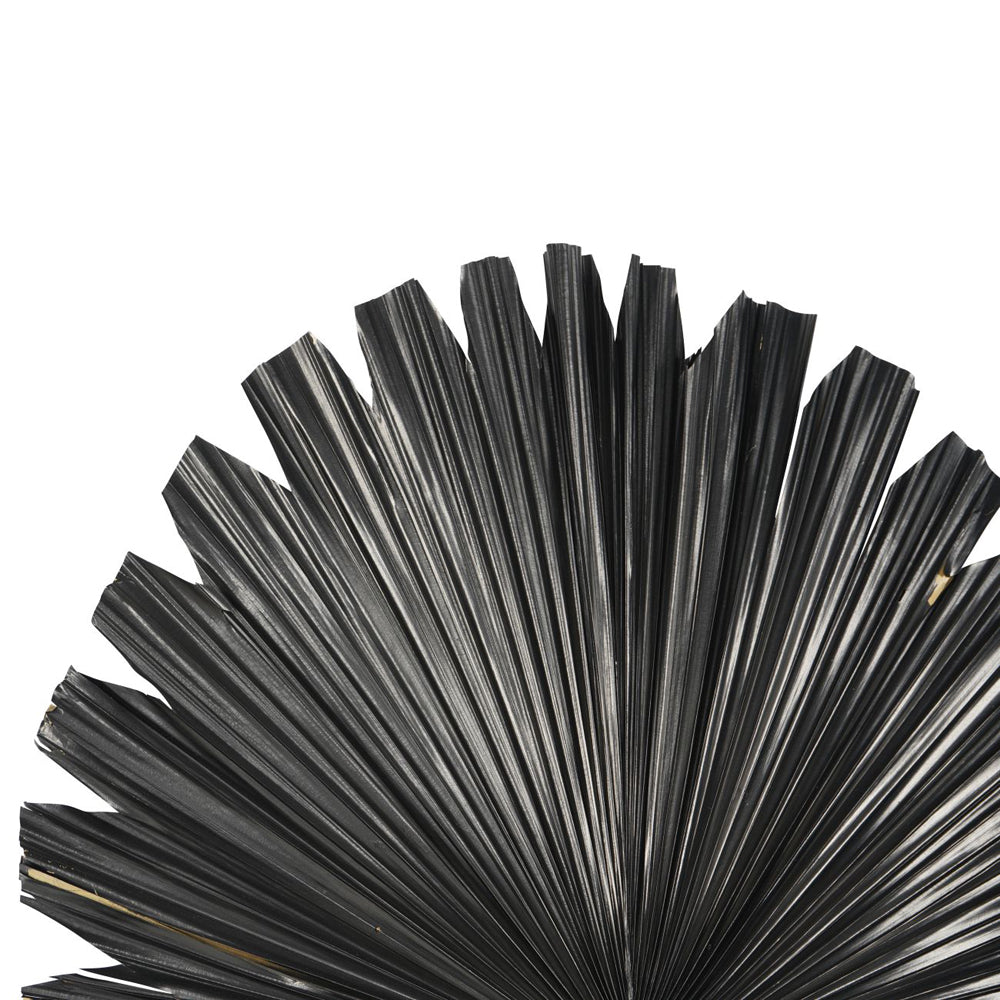 Libra Midnight Mayfair Collection - Wide Fan Palm Leaf in Black