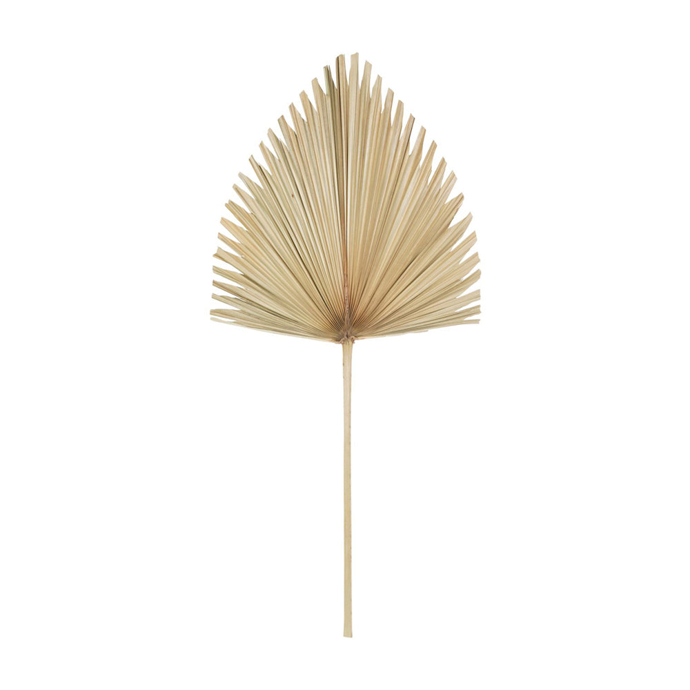 Libra Calm Neutral Collection - Arrowhead Palm Leaf in Natural