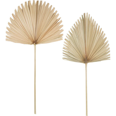 Libra Calm Neutral Collection - Arrowhead Palm Leaf in Natural