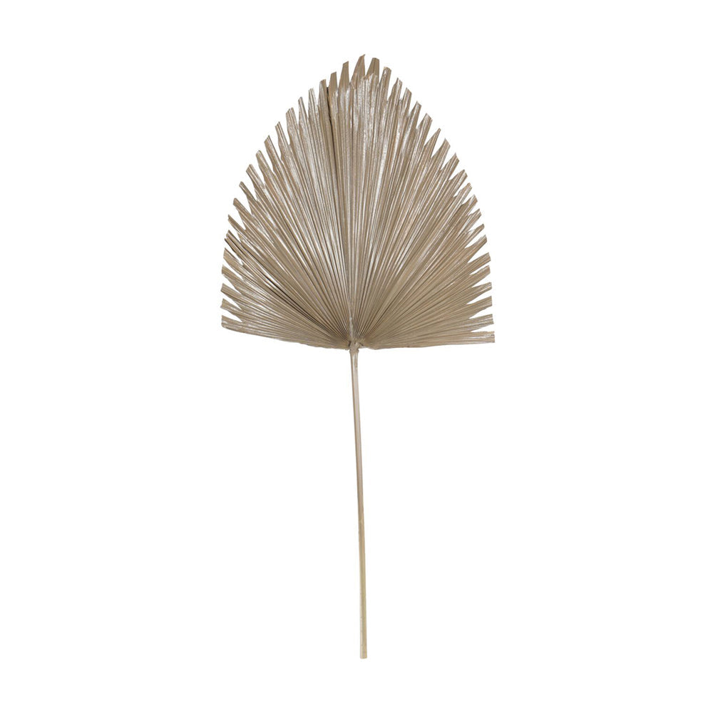 Libra Calm Neutral Collection - Arrowhead Palm Leaf in Brown