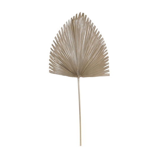 Libra Calm Neutral Collection - Arrowhead Palm Leaf in Brown