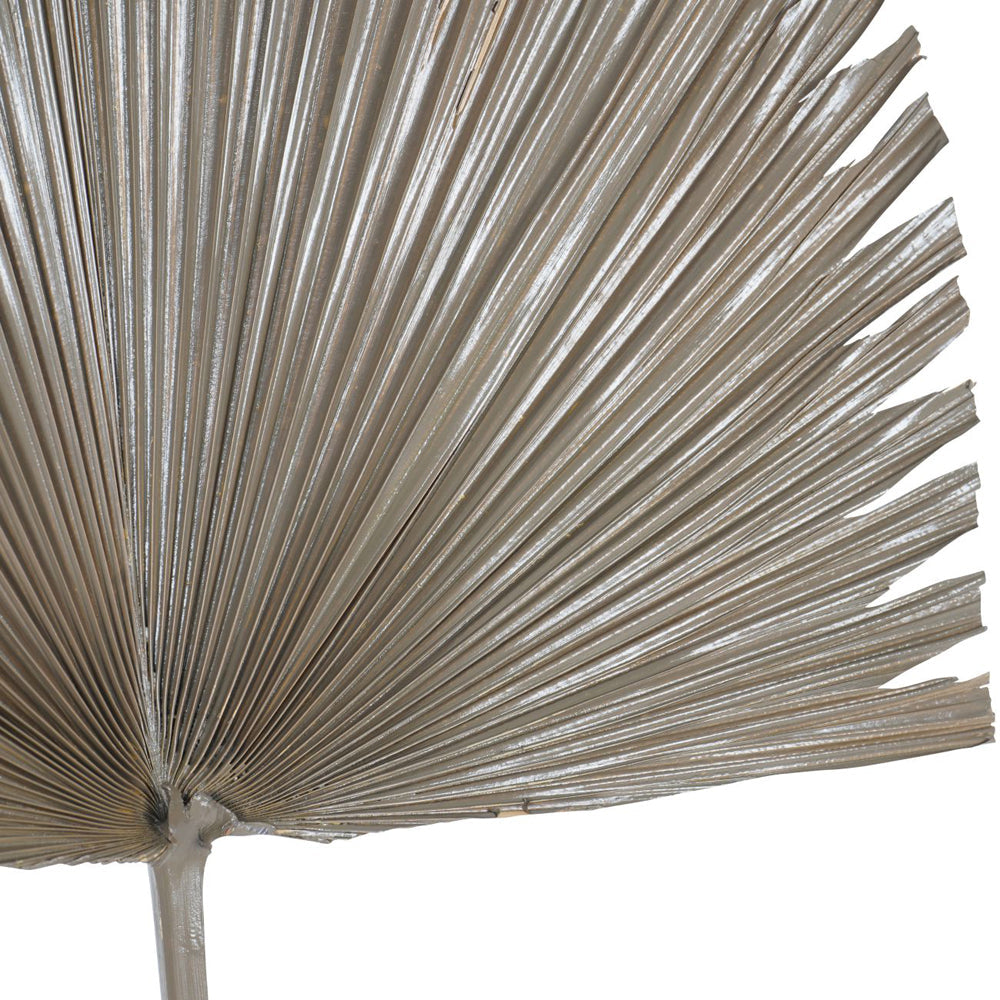 Libra Calm Neutral Collection - Arrowhead Palm Leaf in Brown