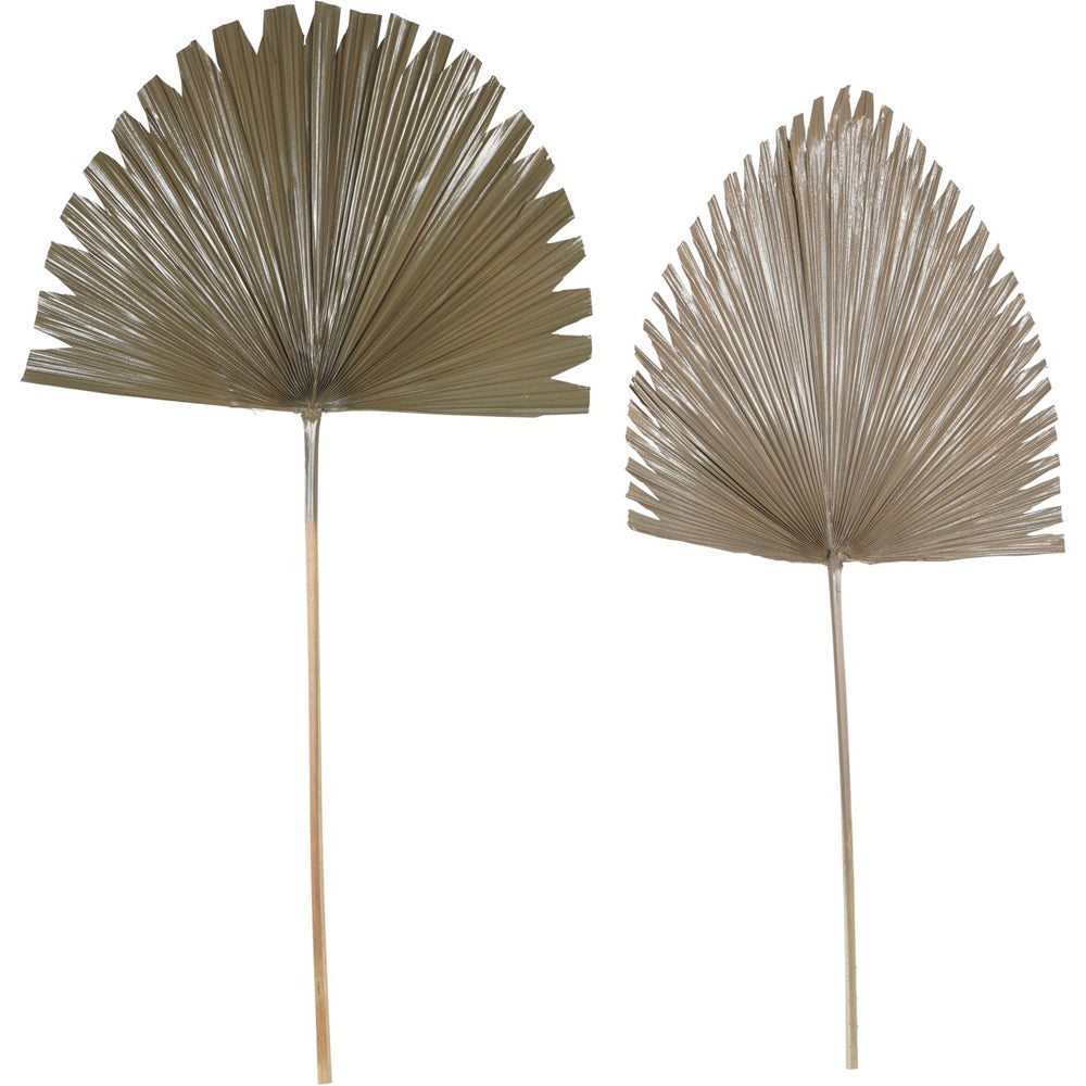 Libra Calm Neutral Collection - Arrowhead Palm Leaf in Brown