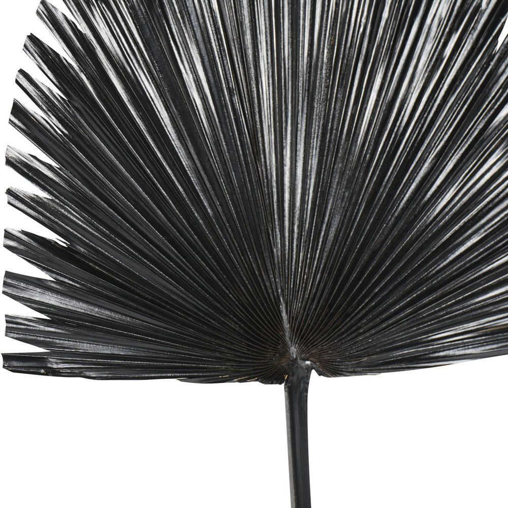 Libra Midnight Mayfair Collection - Arrowhead Palm Leaf in Black