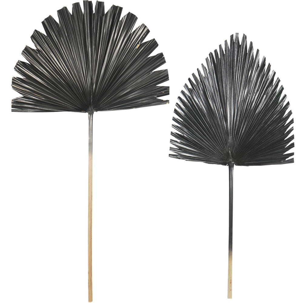 Libra Midnight Mayfair Collection - Arrowhead Palm Leaf in Black