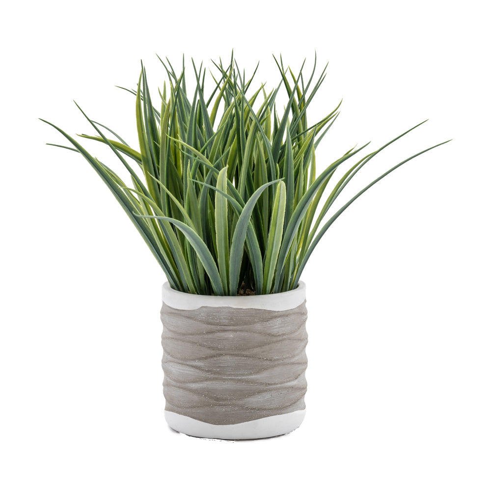 Gallery Interiors Set of 2 Grass in Wavy Pot