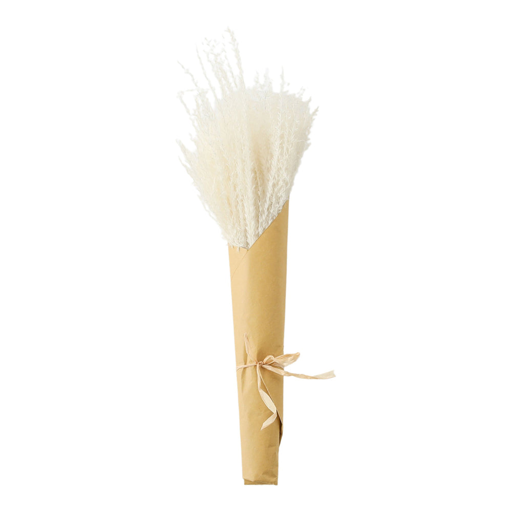 Gallery Interiors Clark Dried Reed Grass Bundle Paper Wrap White